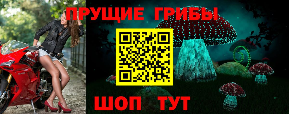 Псилоцибиновые грибы мухоморы Кудымкар