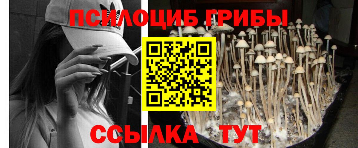 Псилоцибиновые грибы GOLDEN TEACHER  наркотики  Галлюциногенные грибы Cubensis  Кудымкар  Вход с VPN 